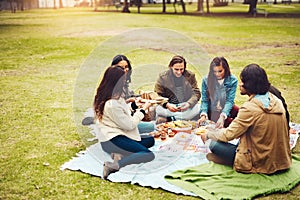 We brought a lot of food today. a group of cheerful young friends having a picnic together outside in a park during the