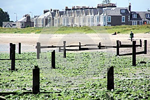 Broughty Ferry Terraced Huses