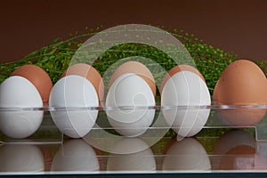 Brovn and white eggs