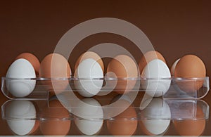 Brovn and white eggs