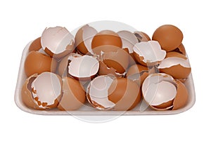 Brown egg shell