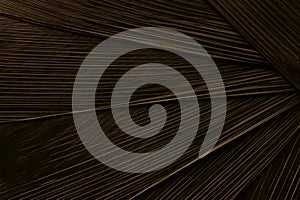 Brown abstract plastic foil background