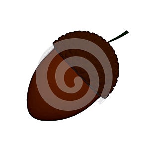 Brown acorn isolated on white background. 3D. Vector illustration