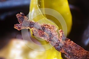 Brown algae, Bady wrack