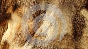 Brown animal fur closeup on a jacket as a background,fur