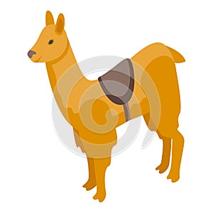 Brown animal icon isometric vector. Cute lama