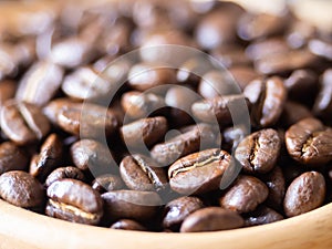 brown arabica coffee bean roast level medium to dark taste seed single origin caffeine espresso drink food cafe beverage Chiang