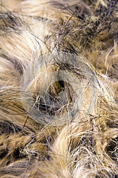 Brown artificial fur texture