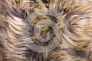 Brown artificial fur texture
