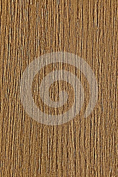 Brown ash-tree, texture old wood