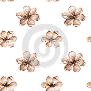 Brown autumn flowers pattern. Boho watercolor roses in trendy earthy colors, tones. Botanical illustration for the