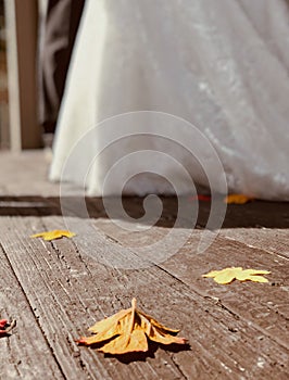 Brown autumn leaf rests on a brown wooden plank under a white gazebo