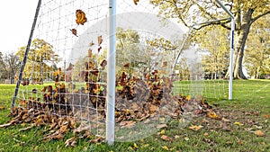 Brown autumn leafs blown into and caught in the back of a football soccer net