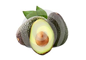 Brown avocado with avocado leaves on a white background. Variety of avocado - Lamb Hass