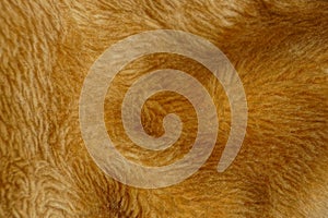 Brown texture of natural fur on a piece of fur coat