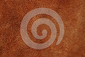 Brown texture of natural fur on a piece of fur coat