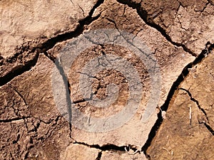 Brown background with texture of dry mud