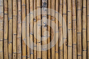 Brown bamboo fence pattern background.