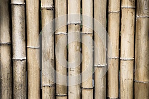 Brown bamboo wall