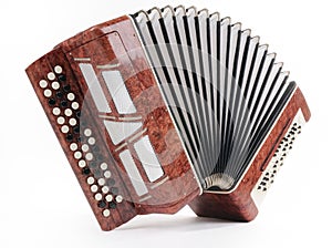 Brown bayan (accordion)