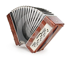 Brown bayan (accordion) photo