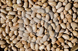 Brown beans - healthy fiber food
