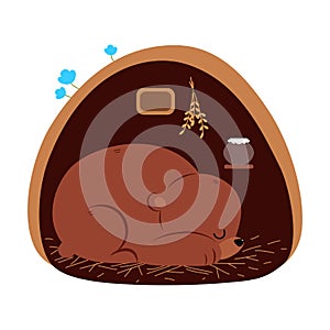 Brown Bear as Forest Animal Sleeping in Burrow Vector Illustration
