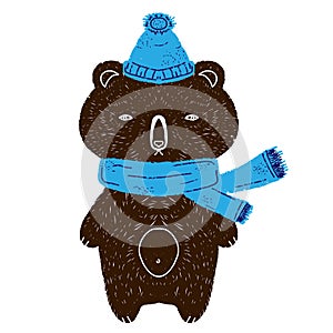 Brown bear in a blue hat and scarf