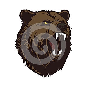 Brown bear grizzly head mascot.