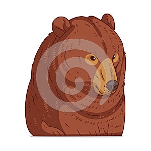 A Brown Bear, isolated vector illustration. Cute cartoon picture of a calm bear sitting. An animal sticker. Simply drawn grizzly