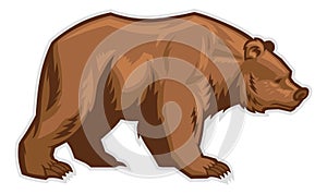 Brown bear mascot photo