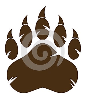 Brown Bear Paw With Claw