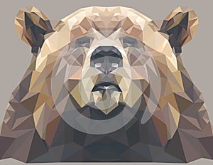 Brown bear portrait. Abstract low poly design. Vector illustration.