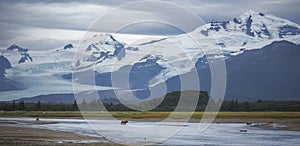 Brown Bears and Glaciers photo