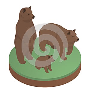 Brown bears isometric illustration