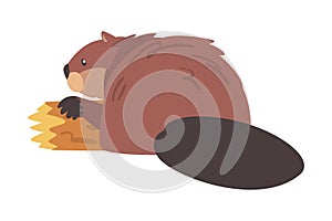 Brown Beaver Gnawing Log, Wild Rodent Mammal Animal Cartoon Vector Illustration