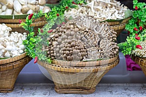 Brown beech mushroom on basket with various mushrooms