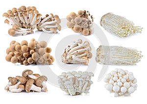 Brown beech mushroom , White beech mushrooms , Shiitake mushroom