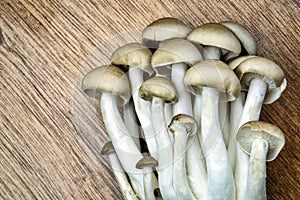 Brown beech mushrooms on a wooden table close up