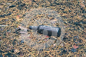 Brown beer bottle on the ground in the pine forest