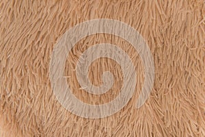 Brown beige fur wool abstract pattern nature skin soft warm fluffy background texture plaid