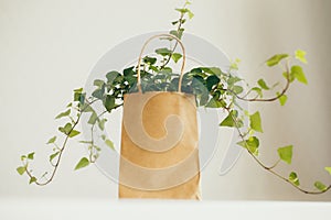 Brown and beige paper shopping bag with ivy plant in modern bright cozy room, shopping for creating home comfort