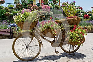 Brown big flower pot shaped bicycle with red flowers inside