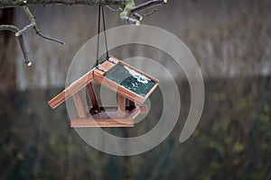 Brown bird feeder with green roof