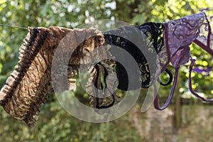 Brown, black and pink womanâ€™s thongs are drying on the rope in the summer