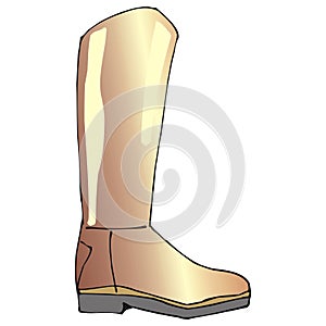 Brown boot