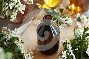 A brown bottle of herbal tincture with fresh hawthorn or Crataegus laevigata flowers