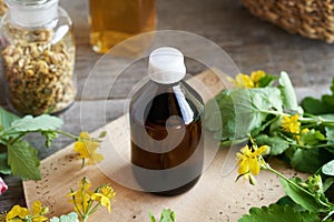 A brown bottle of tetterwort herbal tincture