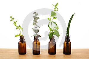 Brown Bottles of essential oil with fresh herbs