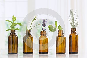 Brown Bottles of essential oil with fresh herbs